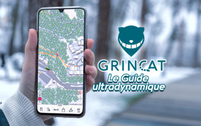 Animation : Présentation du Grincat en 90 secondes